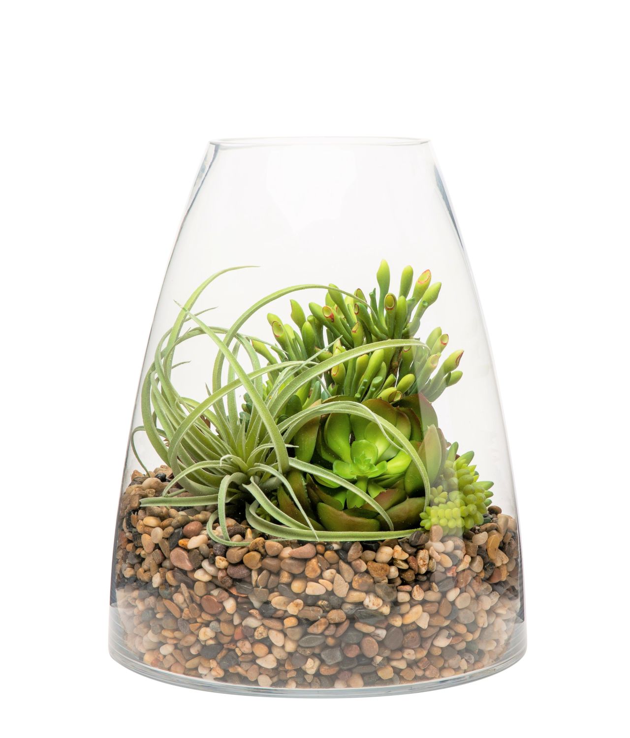 15" Parker Terrarium with Succulent Arrangement  AR1141