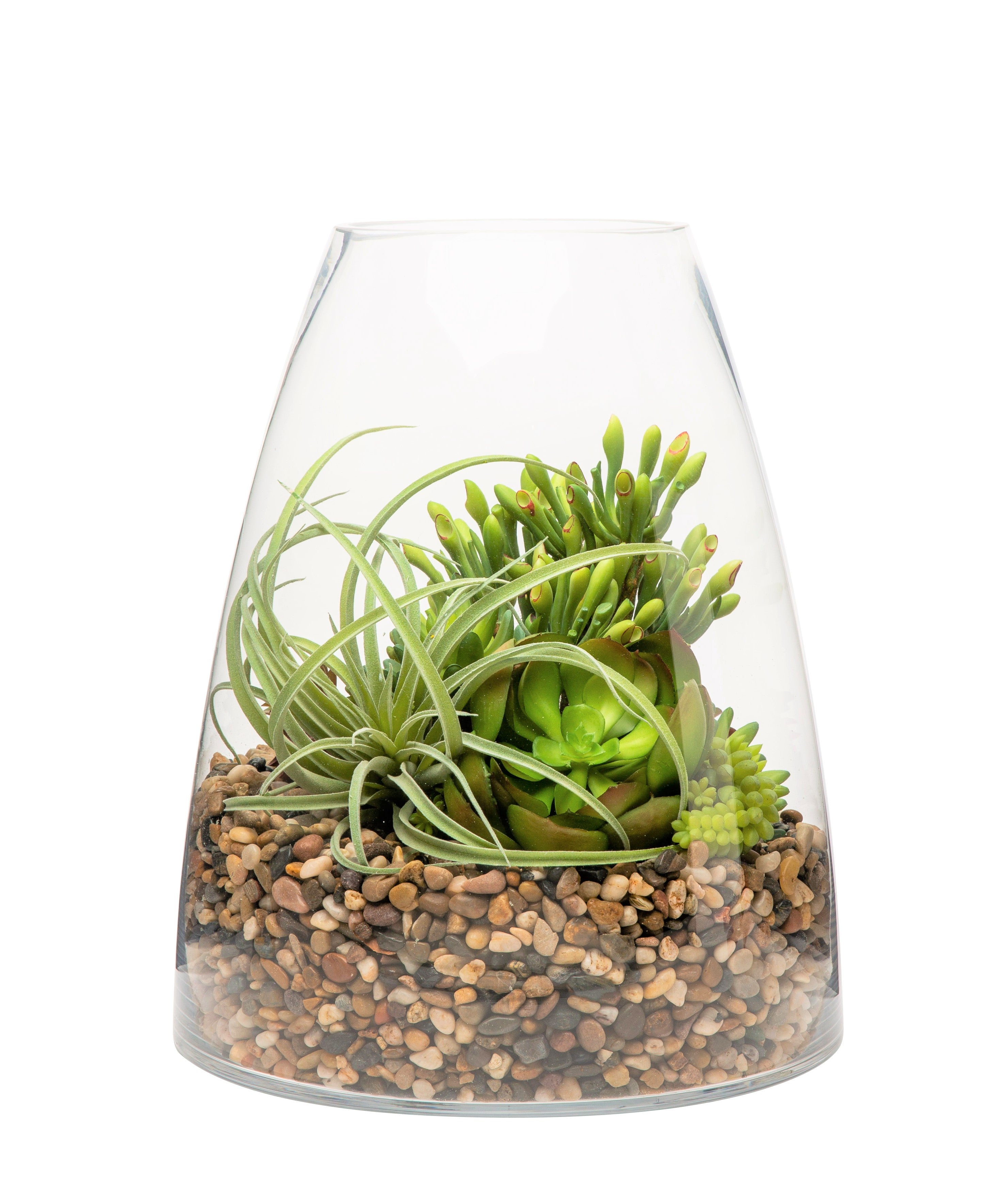 Parker Terrarium Collection   GL1002