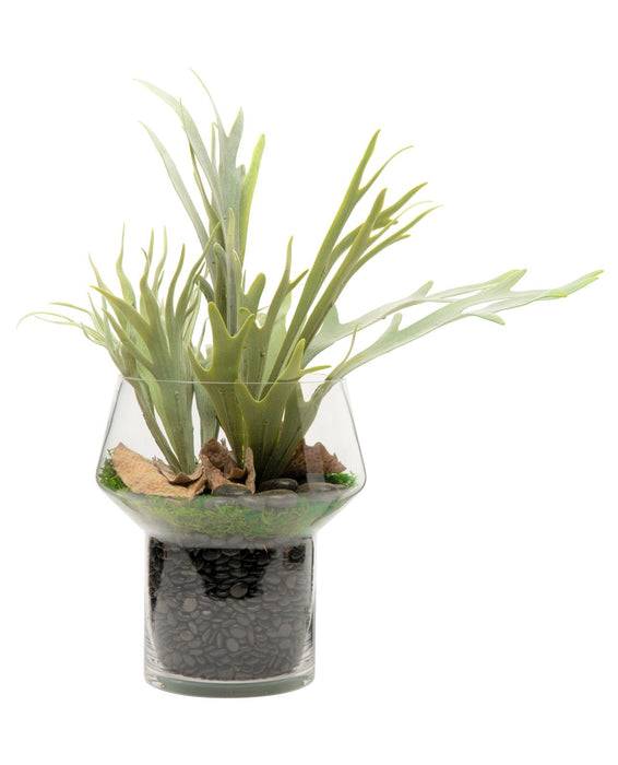 9" Lily Vase with Staghorn Arrangement  AR1142