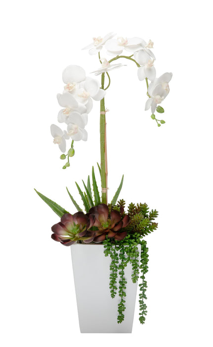 8" Logan Planter with Orchid Arrangement  AR1153