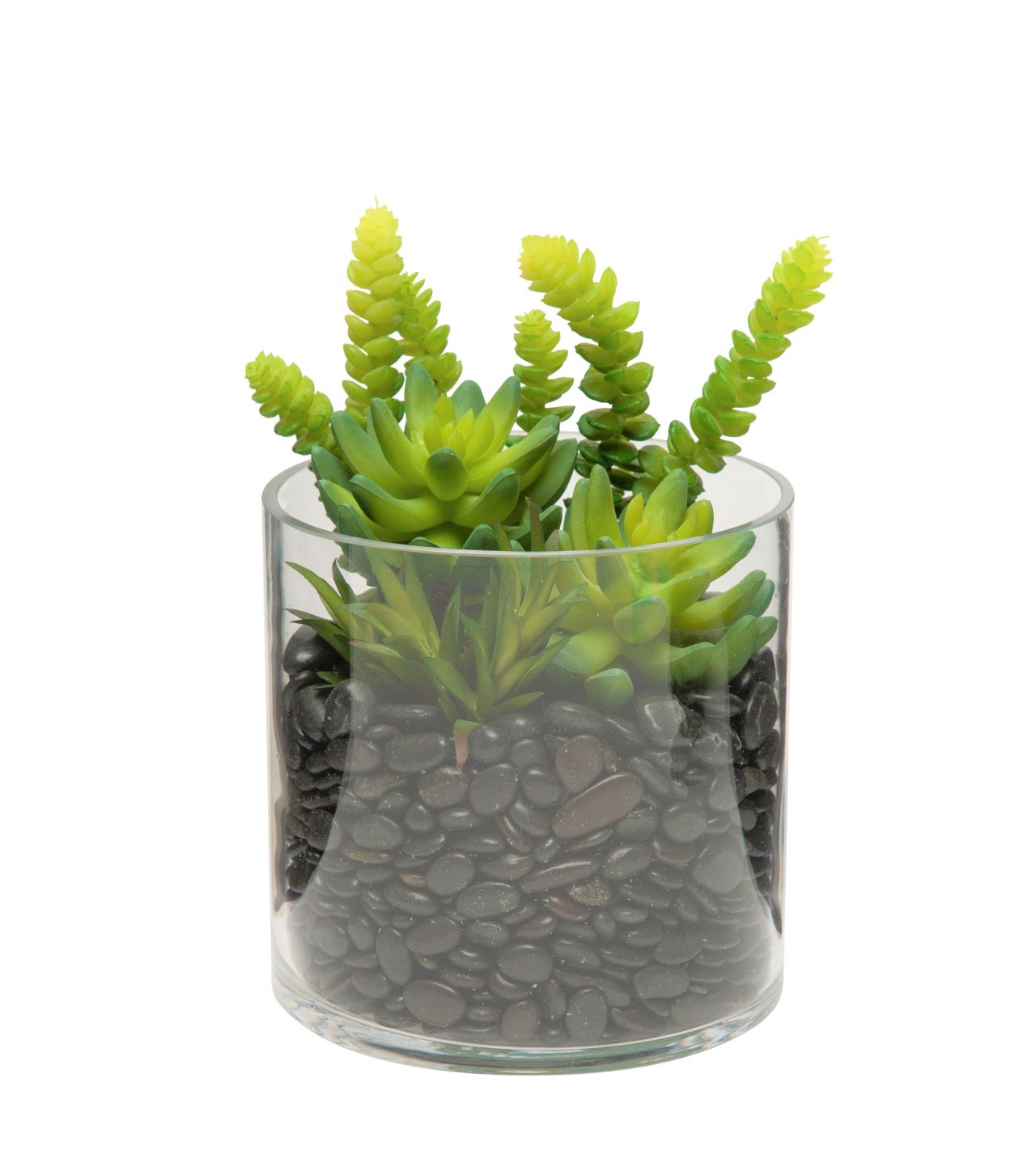 6" Mazzy Vase with Succulents  AR1165