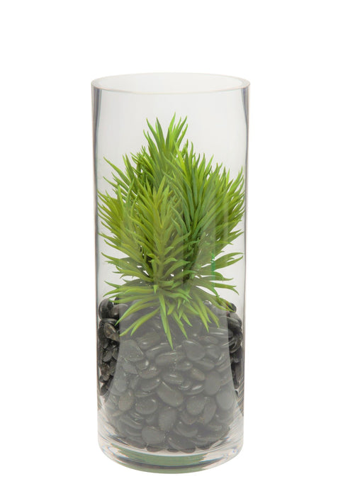 13" Mazzy Glass Vase with Succulent Arrangement  AR1166