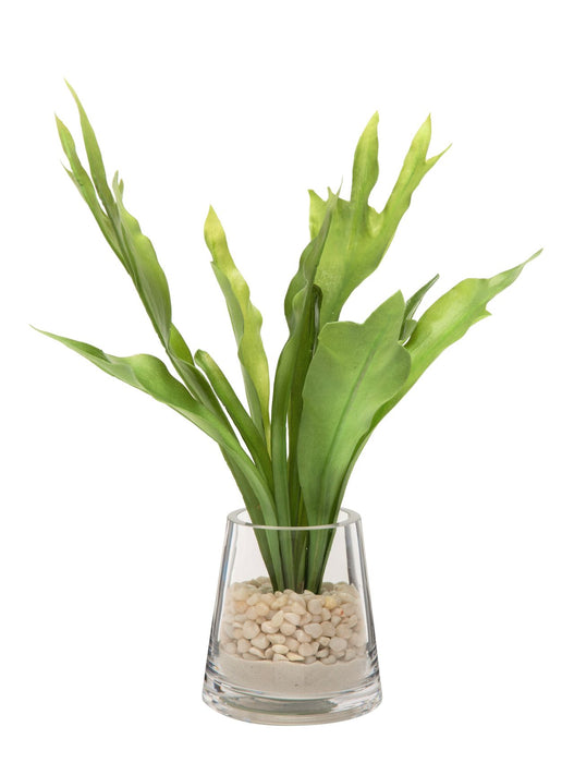 6" Tapered Mazzy Vase with Staghorn Arrangement  AR1170
