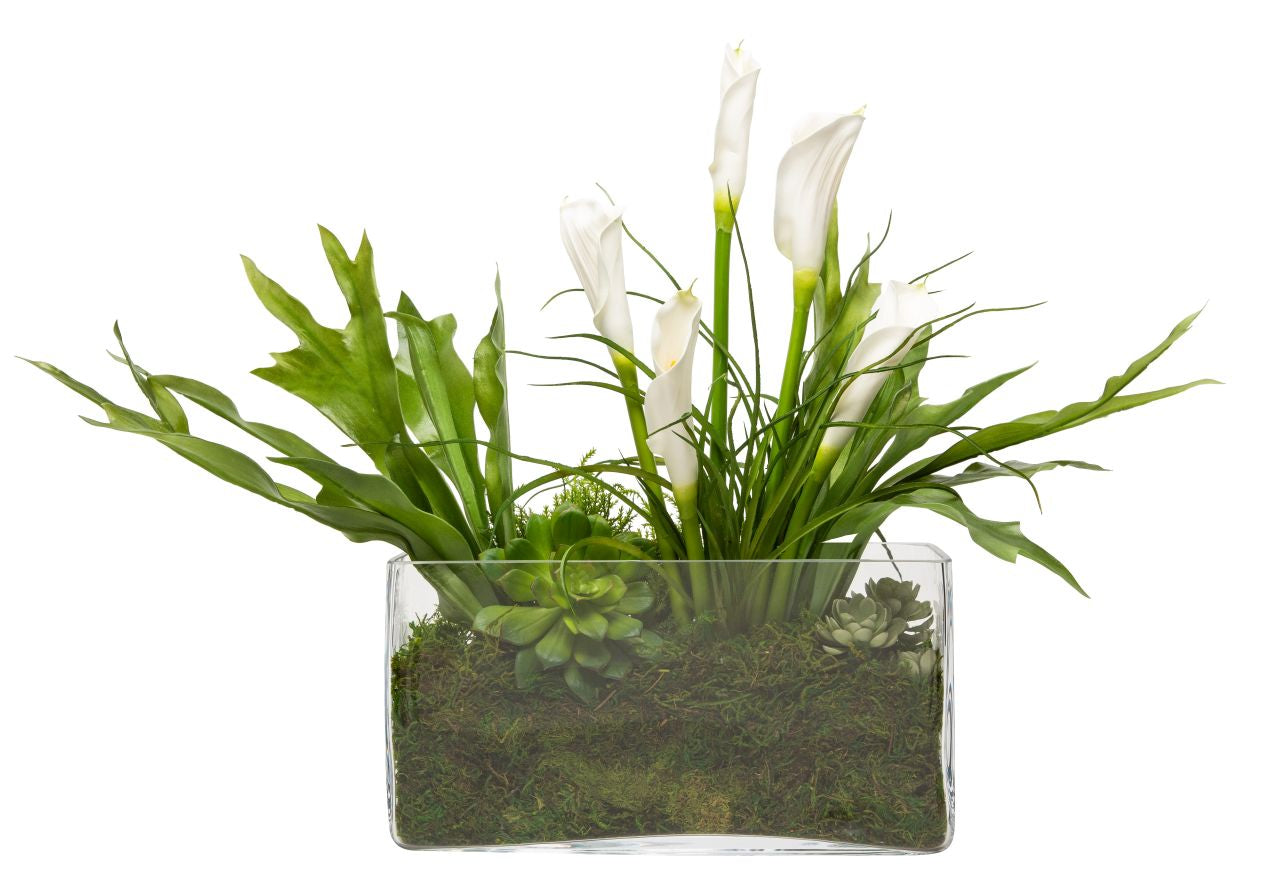 Calla Lily Arrangement in Rectangle Glass Vase AR1171