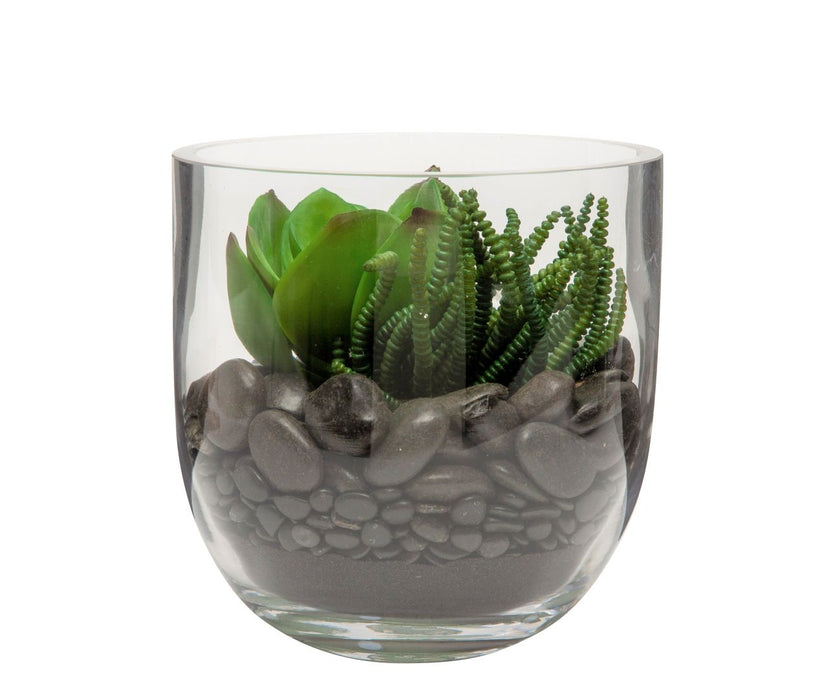8" Colie Bowl Vase with Succulent  AR1173