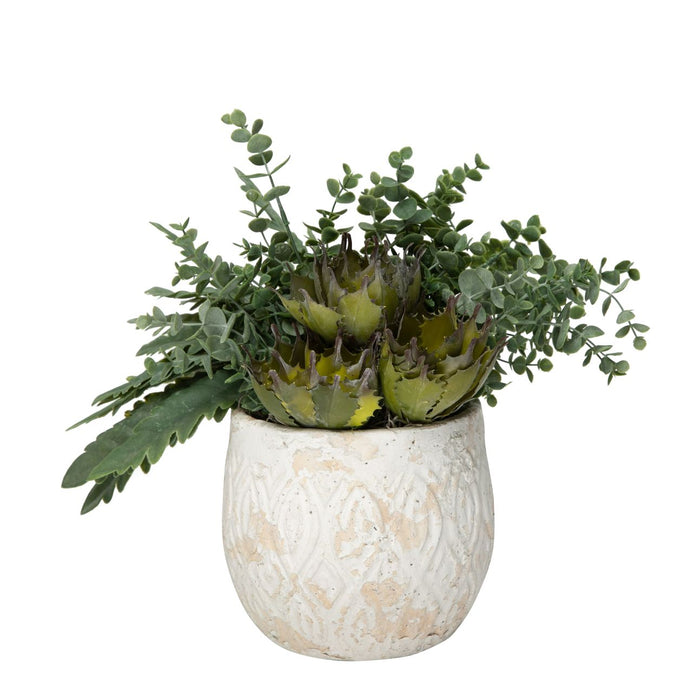 8” Andaz Pot with Succulent Arrangement    AR1191