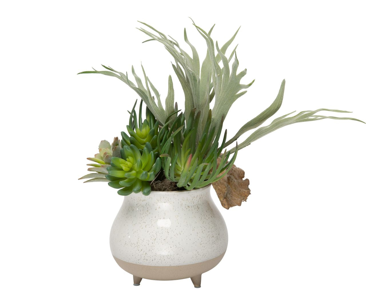 7" Blair Pot with Succulent Arrangement  AR1193