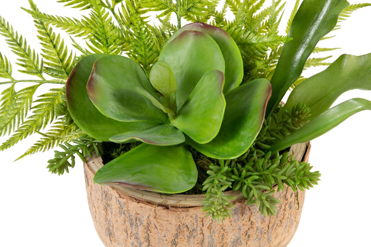 12" Sedona Wood Bowl with Fern Arrangement AR1200