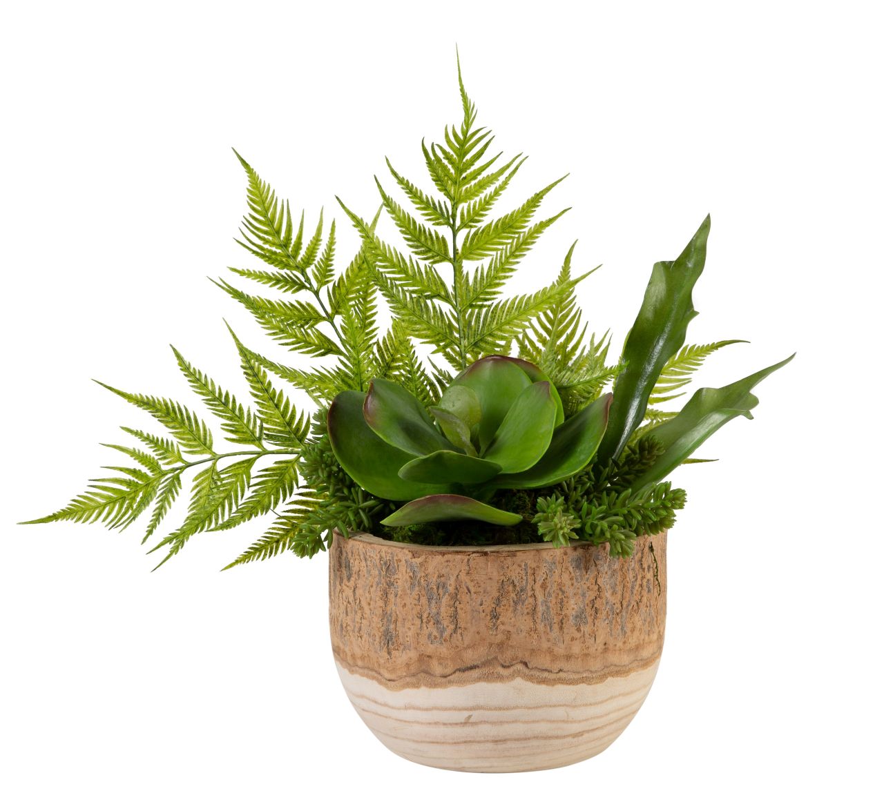 12" Sedona Wood Bowl with Fern Arrangement AR1200