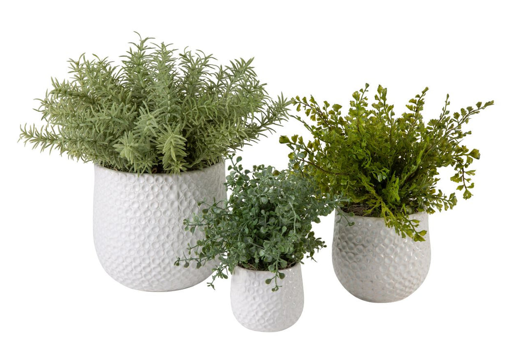 Ginny Pot Collection with Herb Arrangements  AR1204