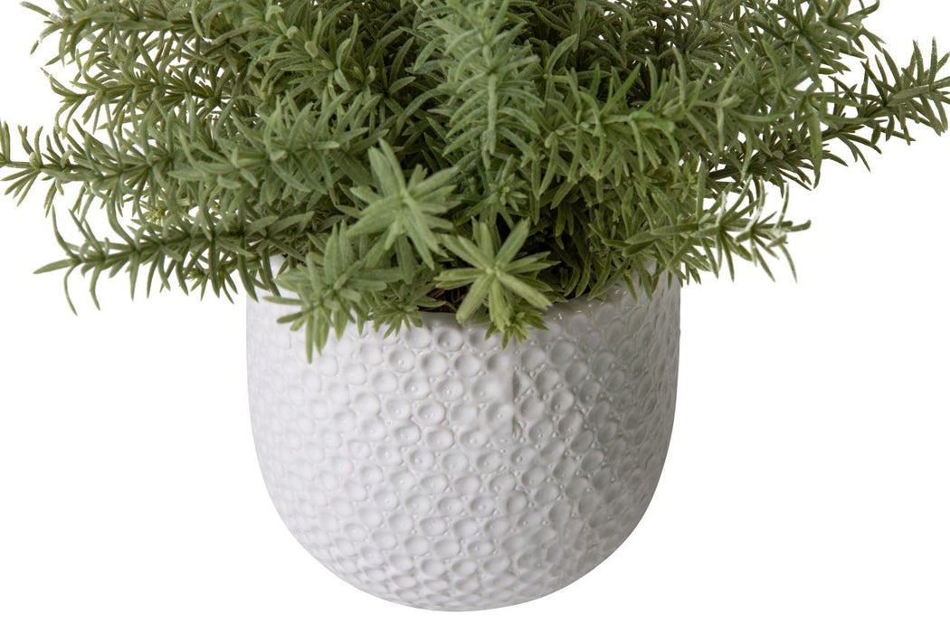 Ginny Pot Collection with Herb Arrangements  AR1204