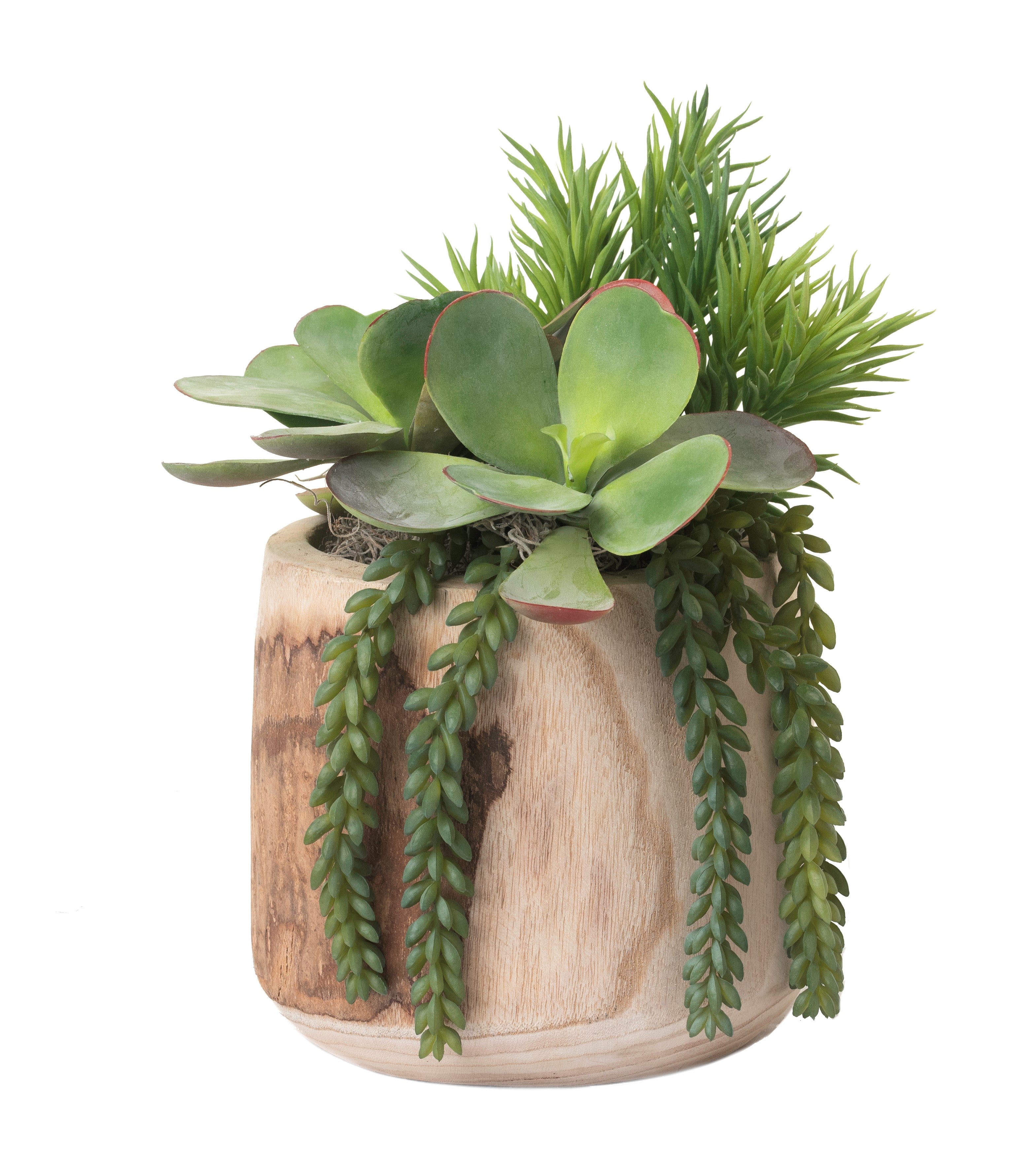 9" Sedona Pot with Succulent Arrangement AR1219