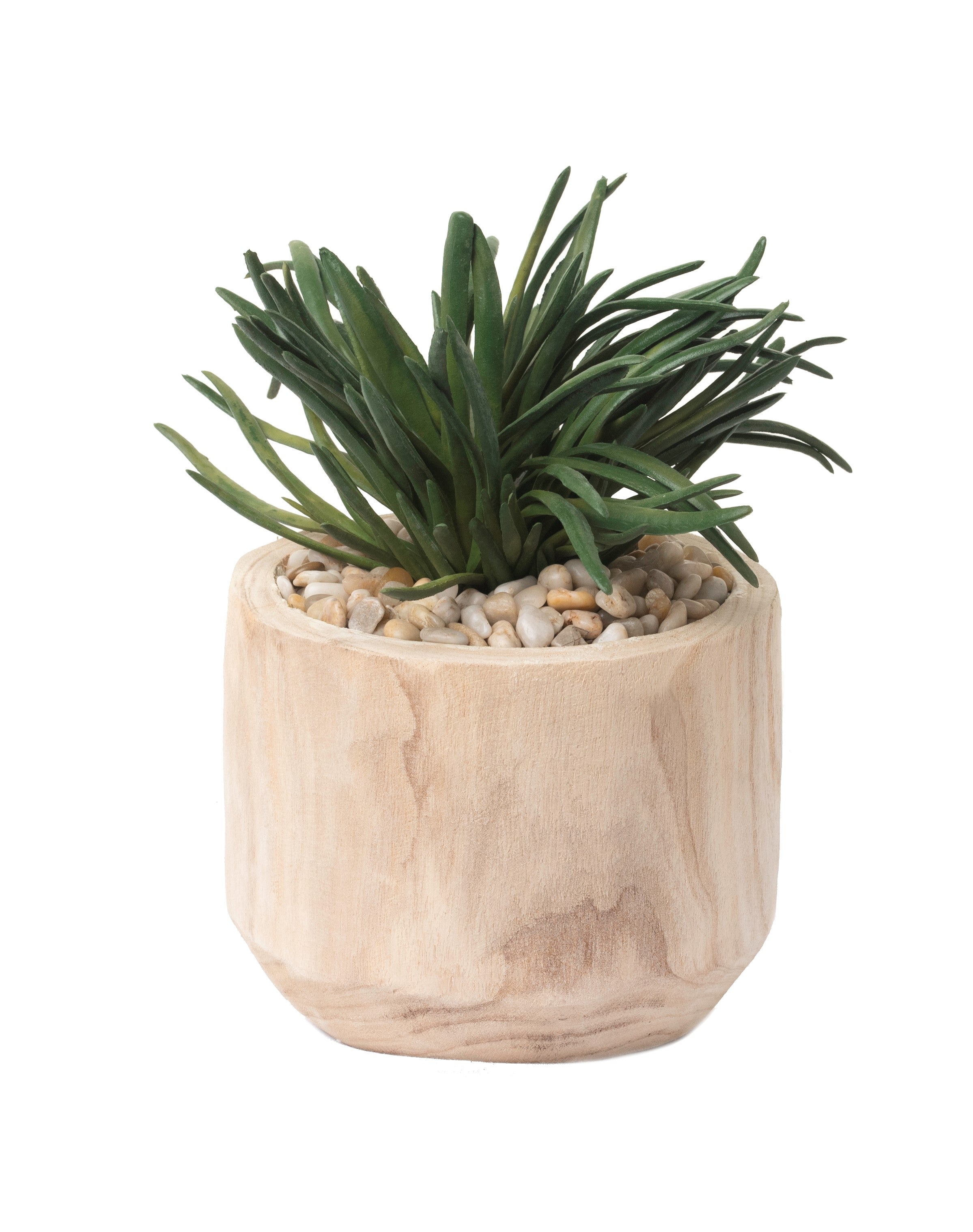 7" Sedona Pot with Single Succulent AR1220