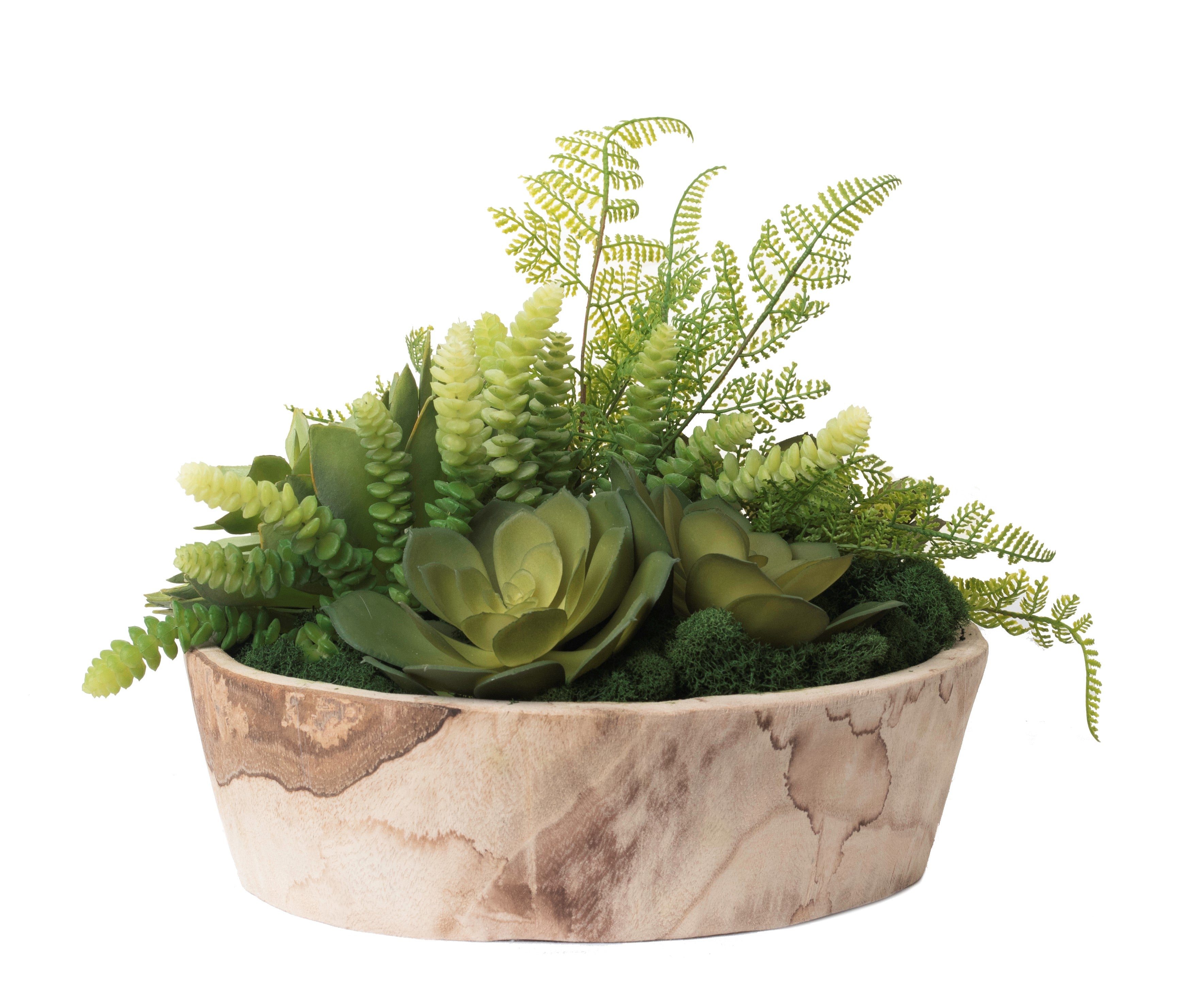 16" Sedona Bowl with Succulent and Fern Arrangement AR1221