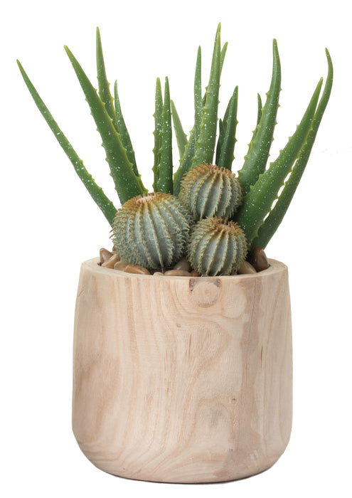 9" Sedona Pot with Aloe and Cactus Arrangement  AR1226