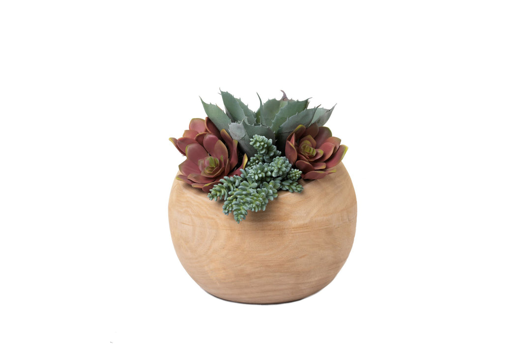 10" Sedona Slant Bowl with Succulents  AR1229