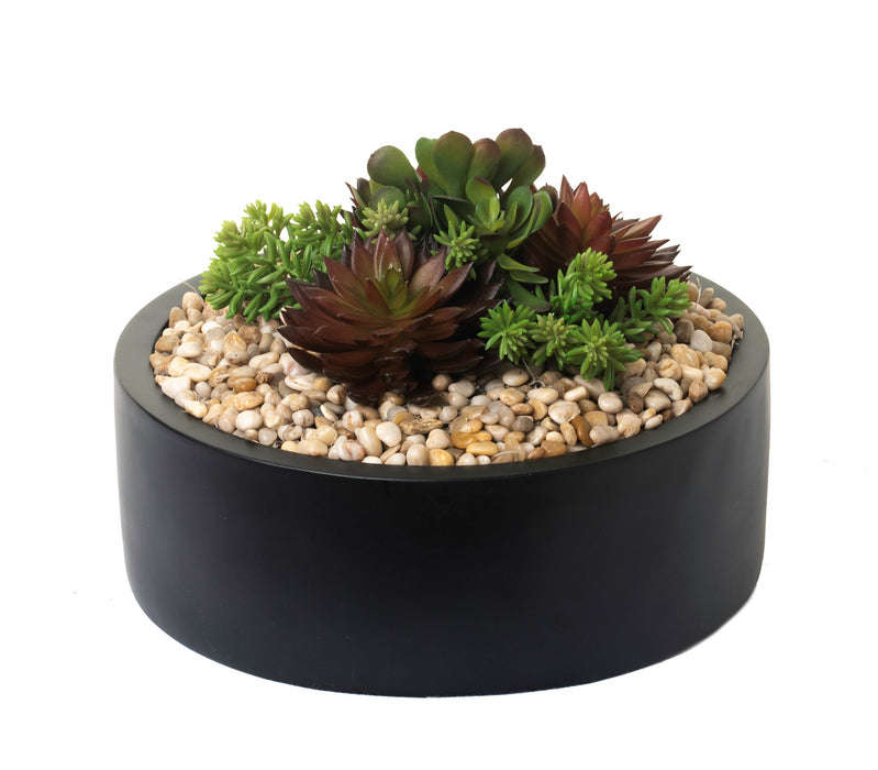 14" Black Morgan Bowl with Succulents AR1232