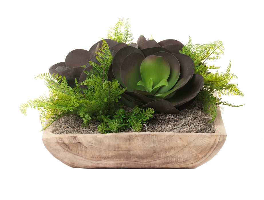 19" Sedona Square Bowl with Succulent Arrangement  AR1234