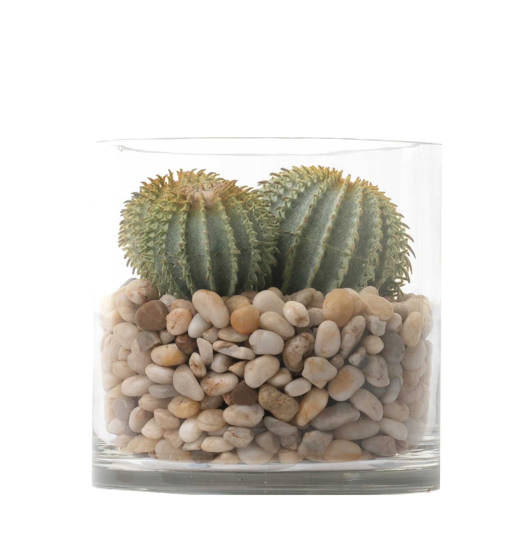 6" Mazzy Vase with Cactus Arrangement AR1240