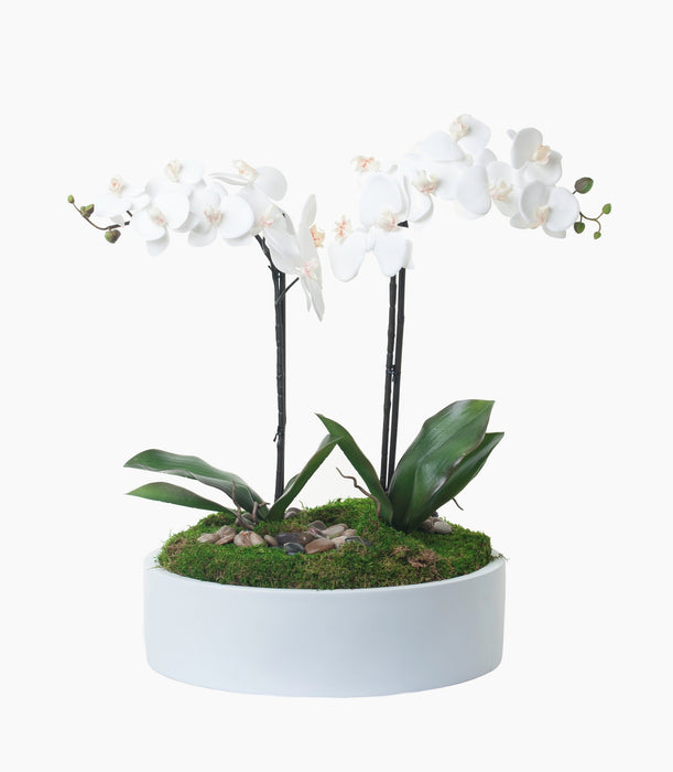 19" White Morgan Bowl with Orchid Arrangement AR1242