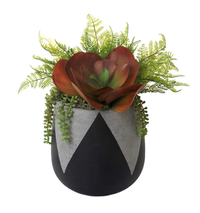 11" Black Emma Planter with Succulents AR1247