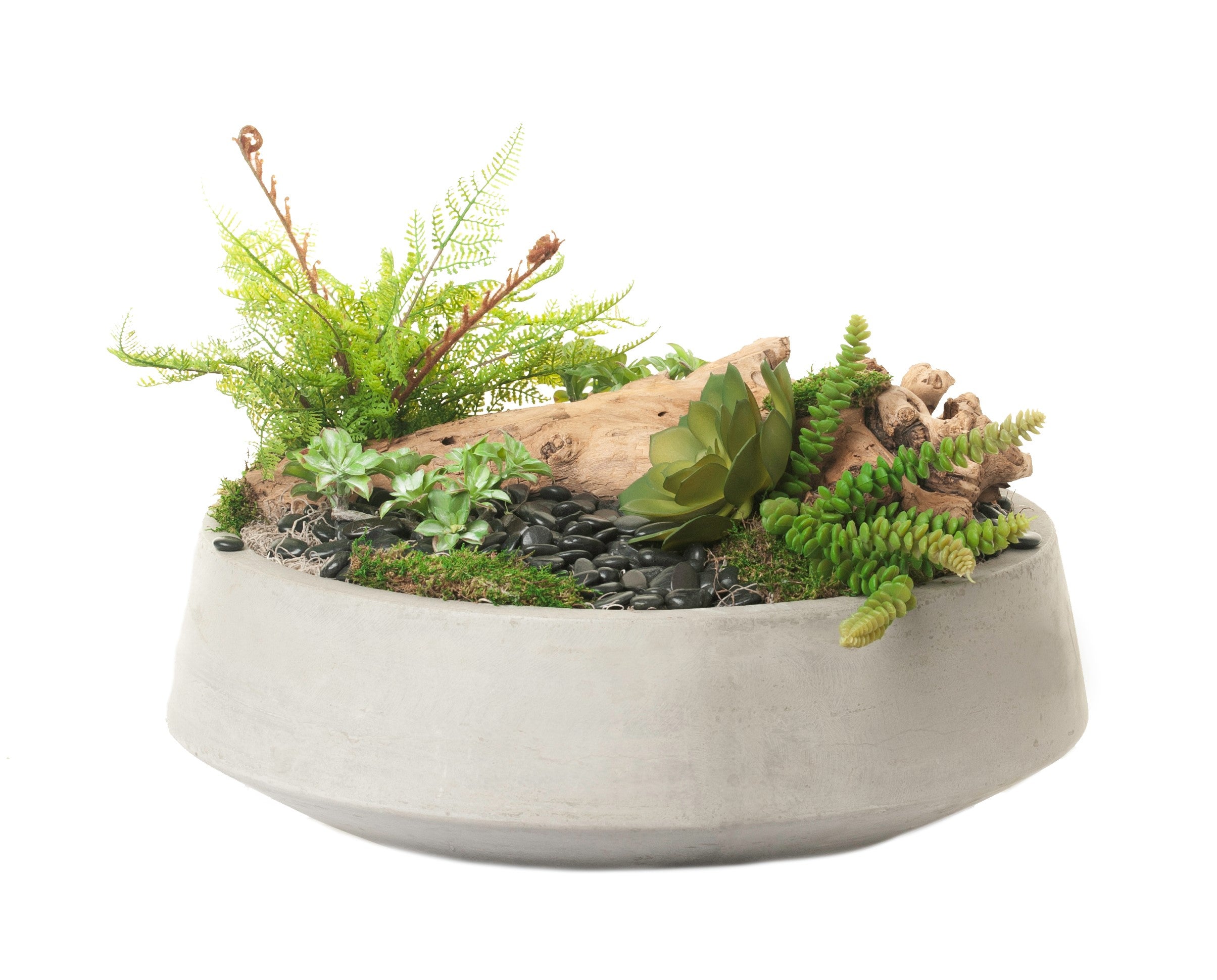 21" Mack Bowl with Succulent & Driftwood Arrangement AR1251