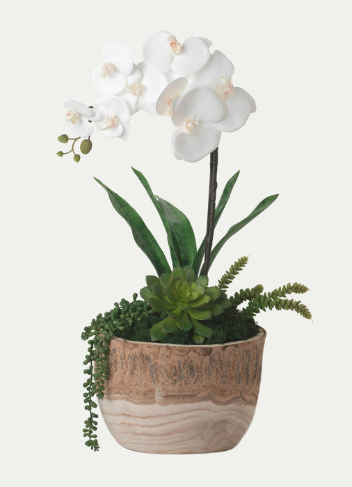 12" Sedona Bowl with Orchid Arrangement  AR1254