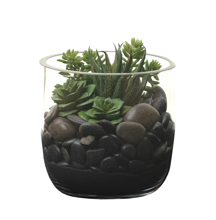 6" Colie Bowl with Succulent Arrangement AR1262