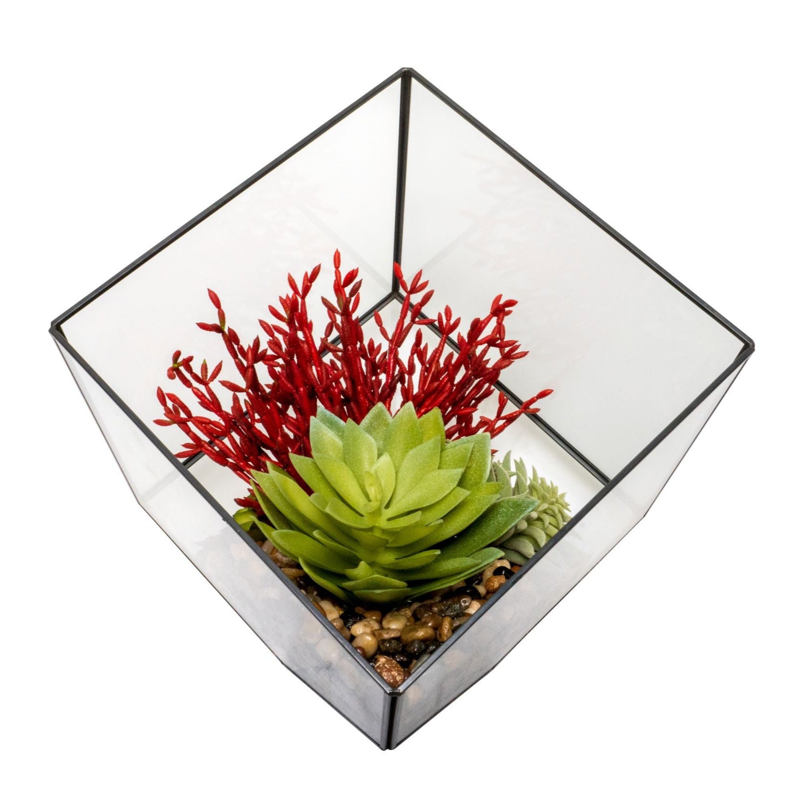 Large Black Berkley Terrarium Arrangement AR1264