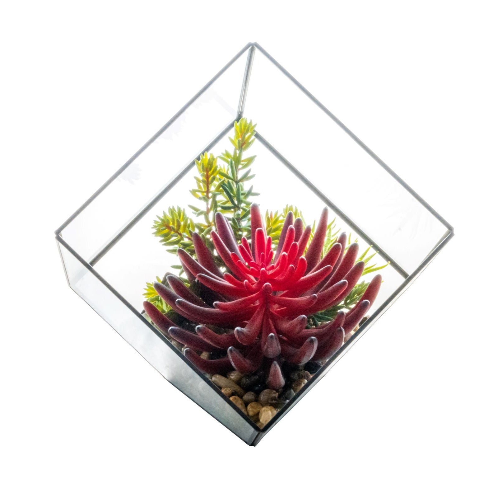 Medium Black Berkley Terrarium Succulent Arrangement  AR1265