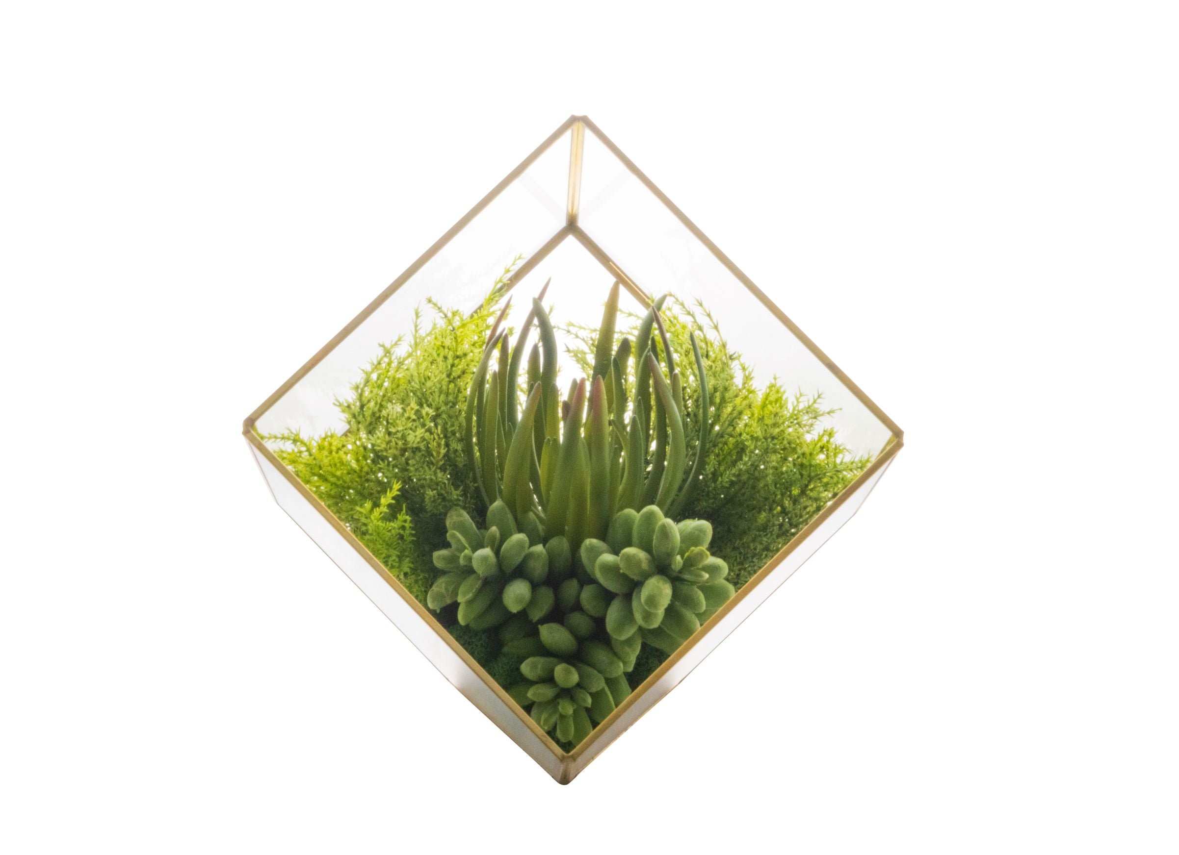 Medium Gold Berkley Terrarium Arrangement AR1270