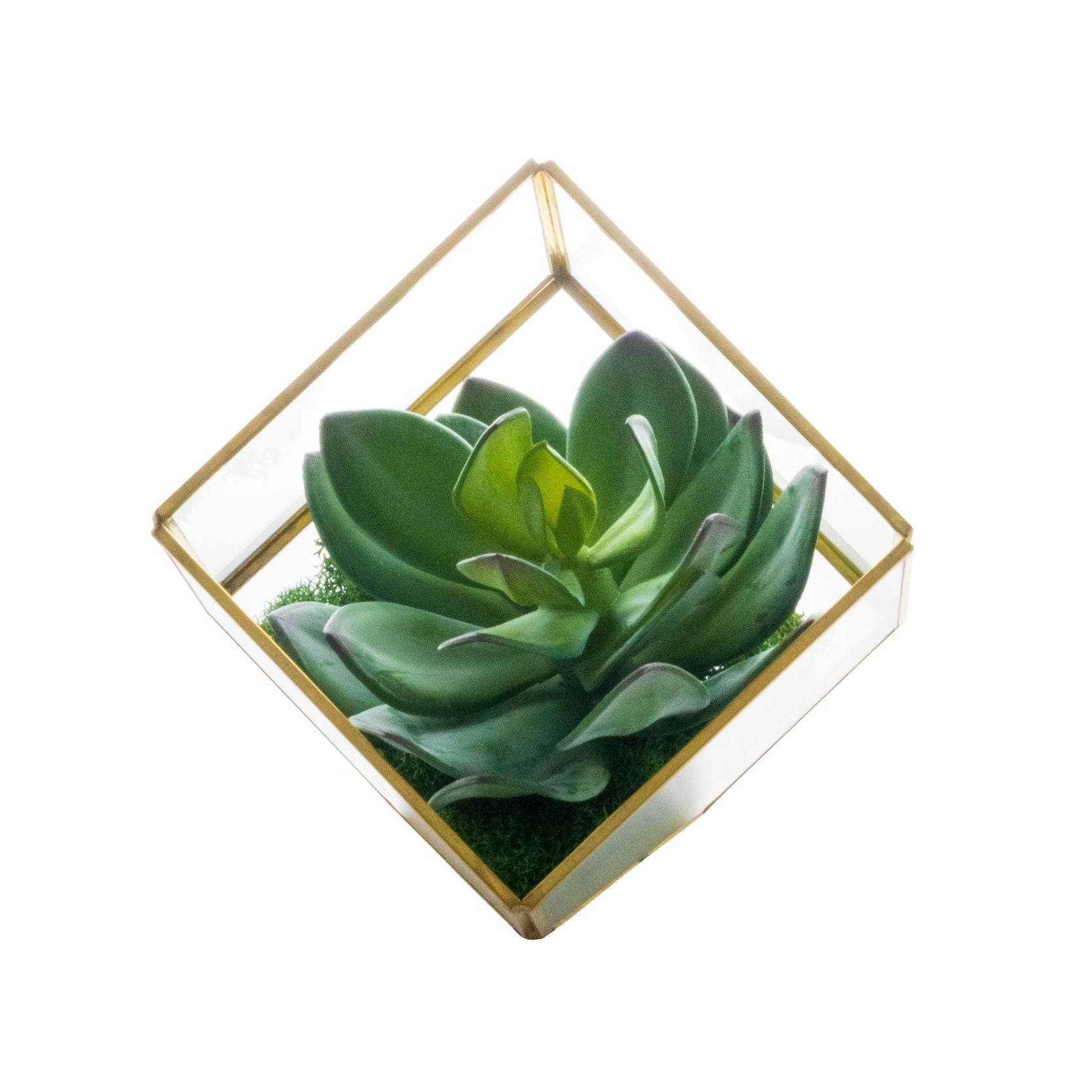 Small Gold Berkley Terrarium Arrangement AR1271