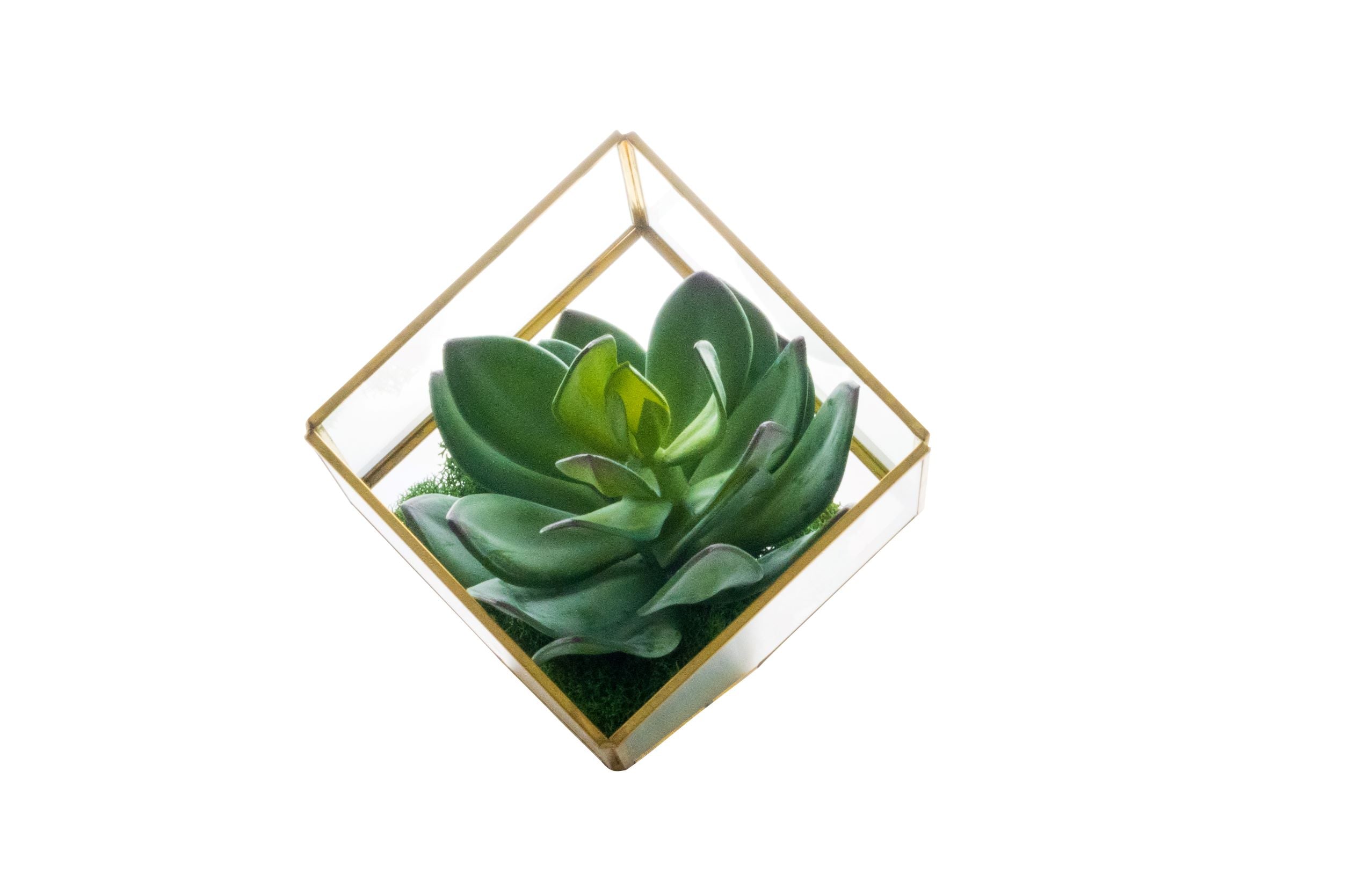 Small Gold Berkley Terrarium Arrangement AR1271