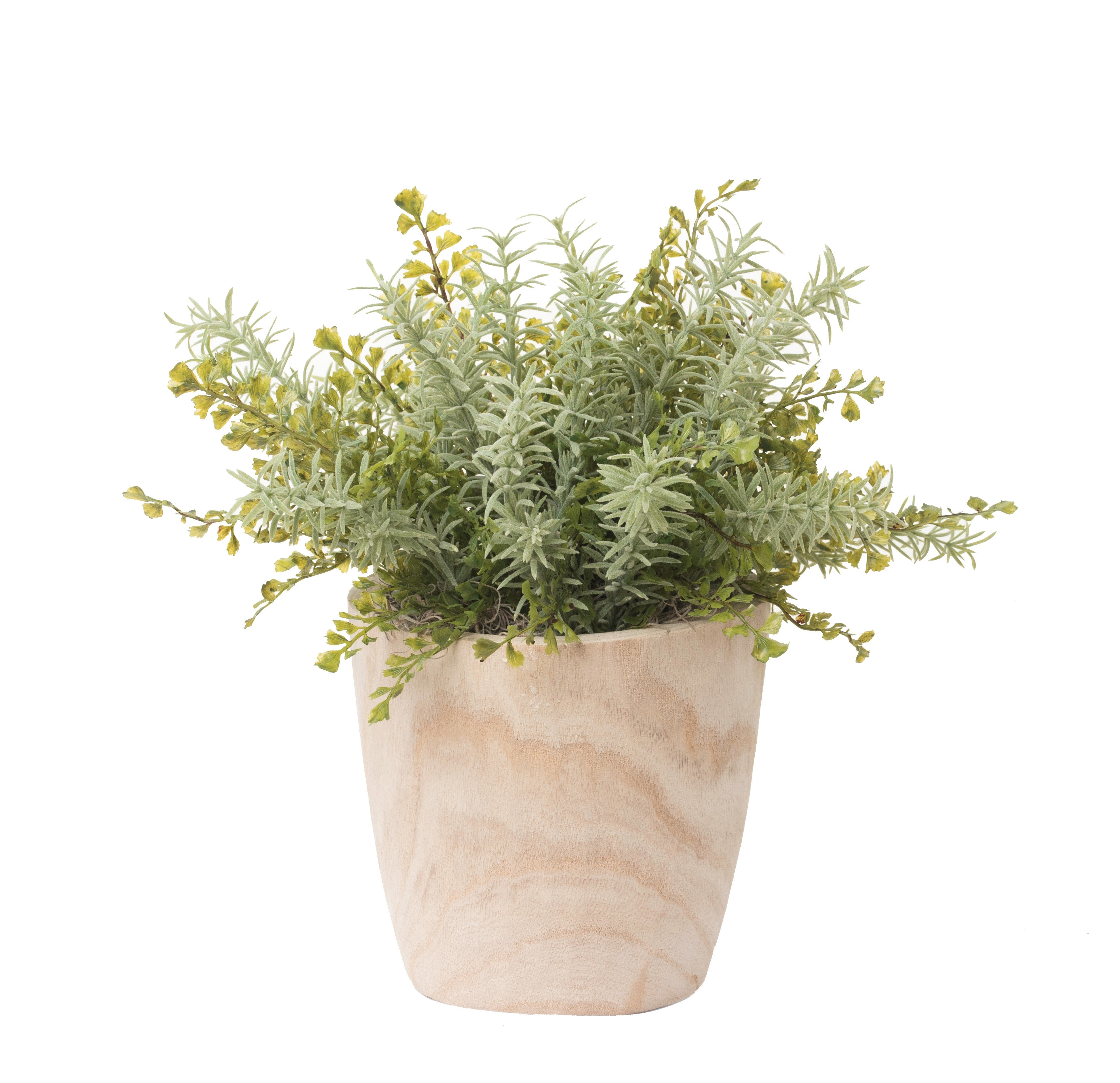 7" Sedona Pot with Herb Arrangement AR1275