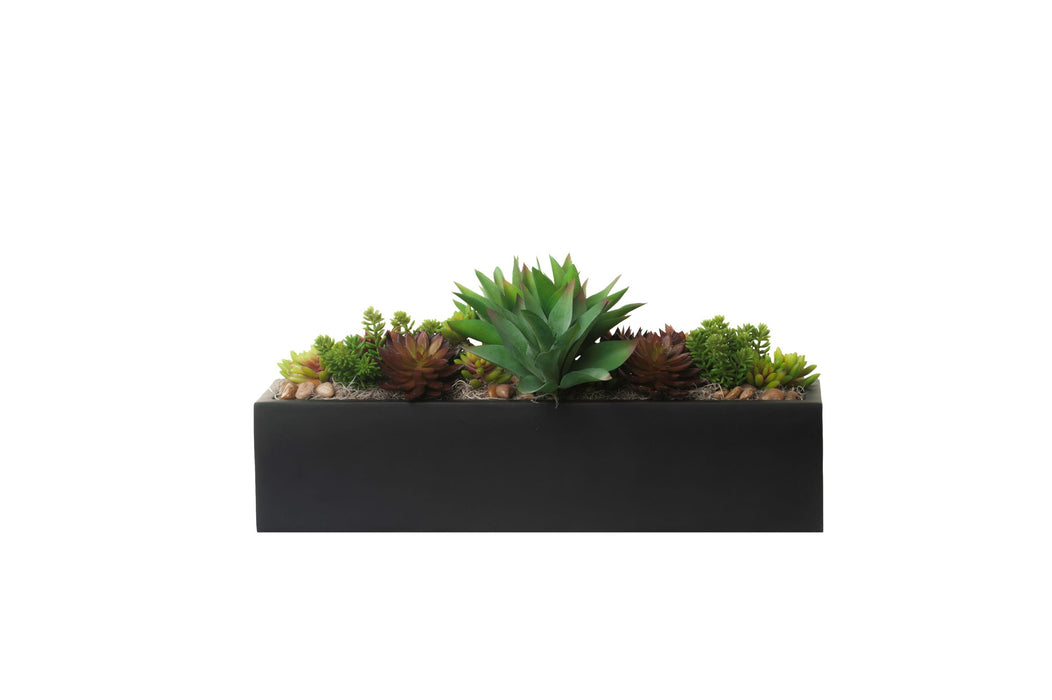 30" Black Manhattan Table Top Planter with Succulent Arrangement AR1279