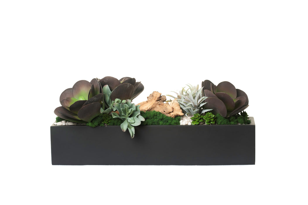 35" Black Manhattan Tray with Succulent Arrangement AR1280