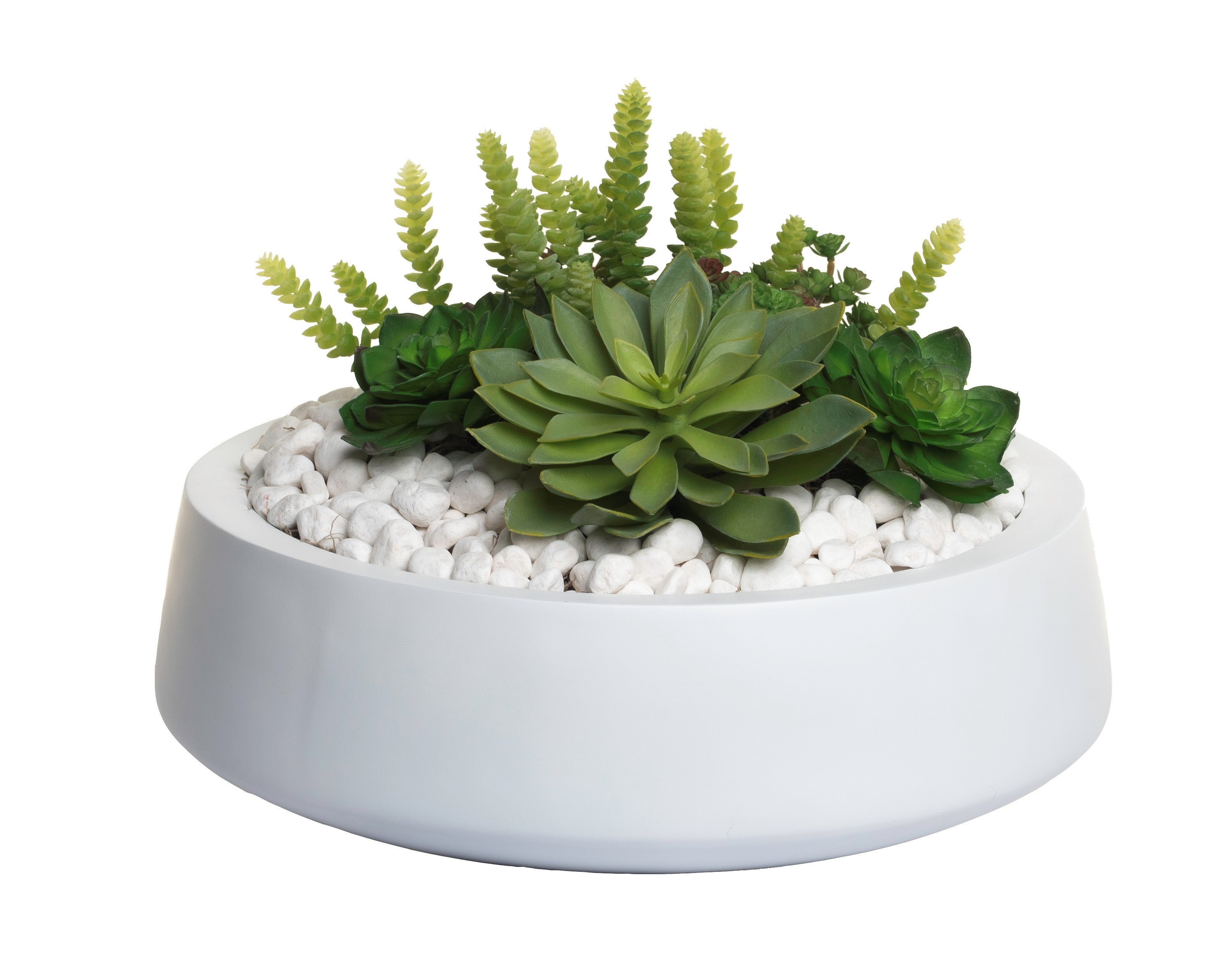 16" Edison Bowl with Succulent Arrangement AR1281