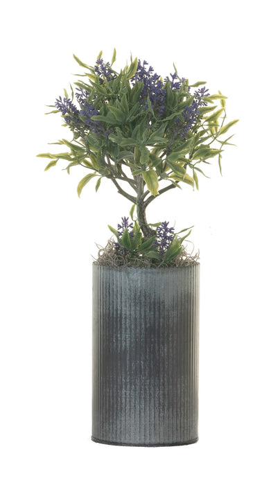 8" Metal Cylinder with Potted Lavender AR1286