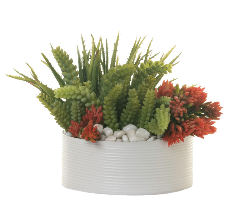 10" Decatur Bowl with Succulent Arrangement AR1306