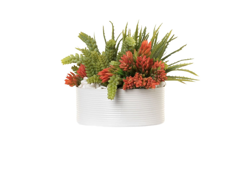 10" Decatur Bowl with Succulent Arrangement AR1306