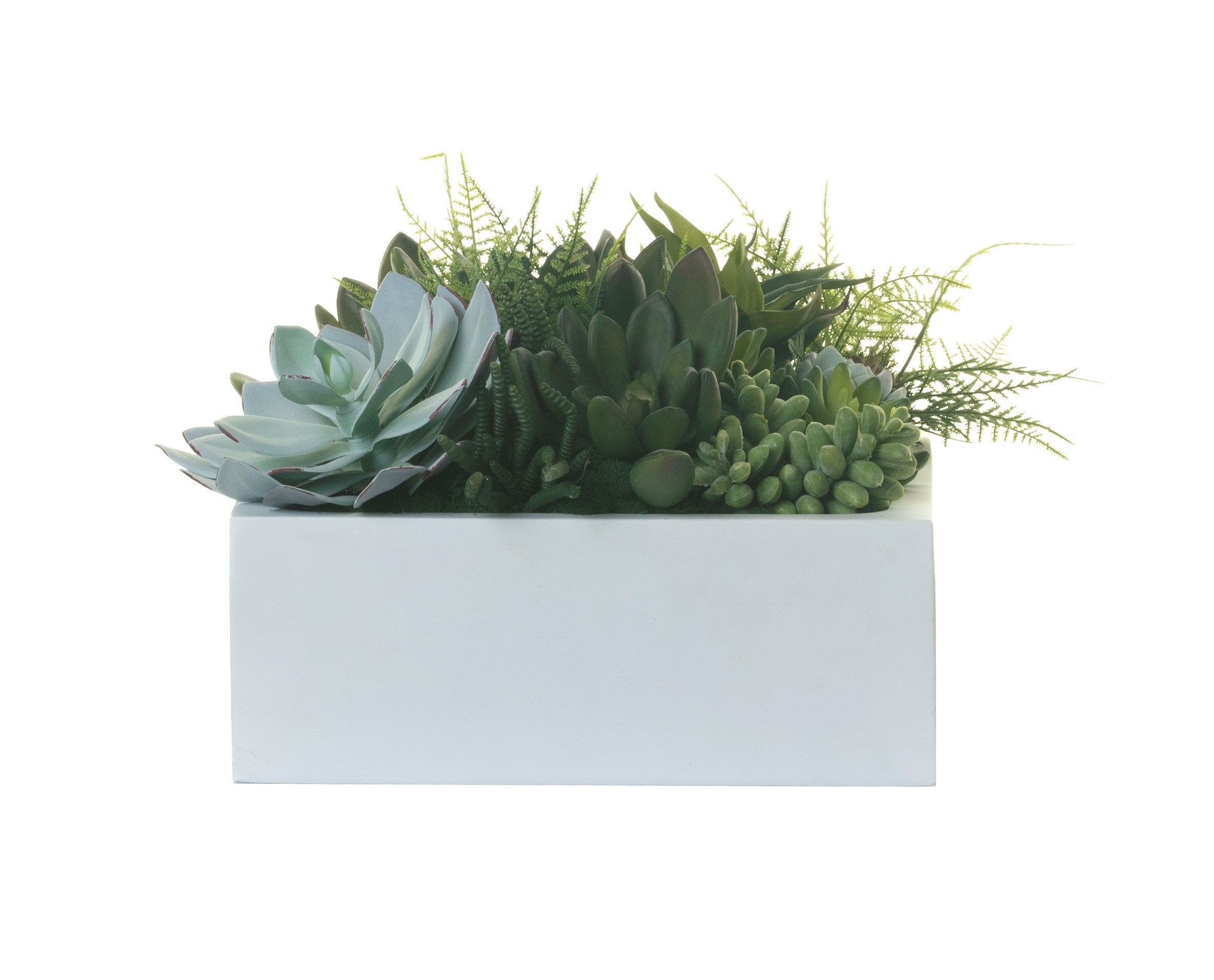 13" Sebastian Square Planter with Succulent Arrangement   AR1310