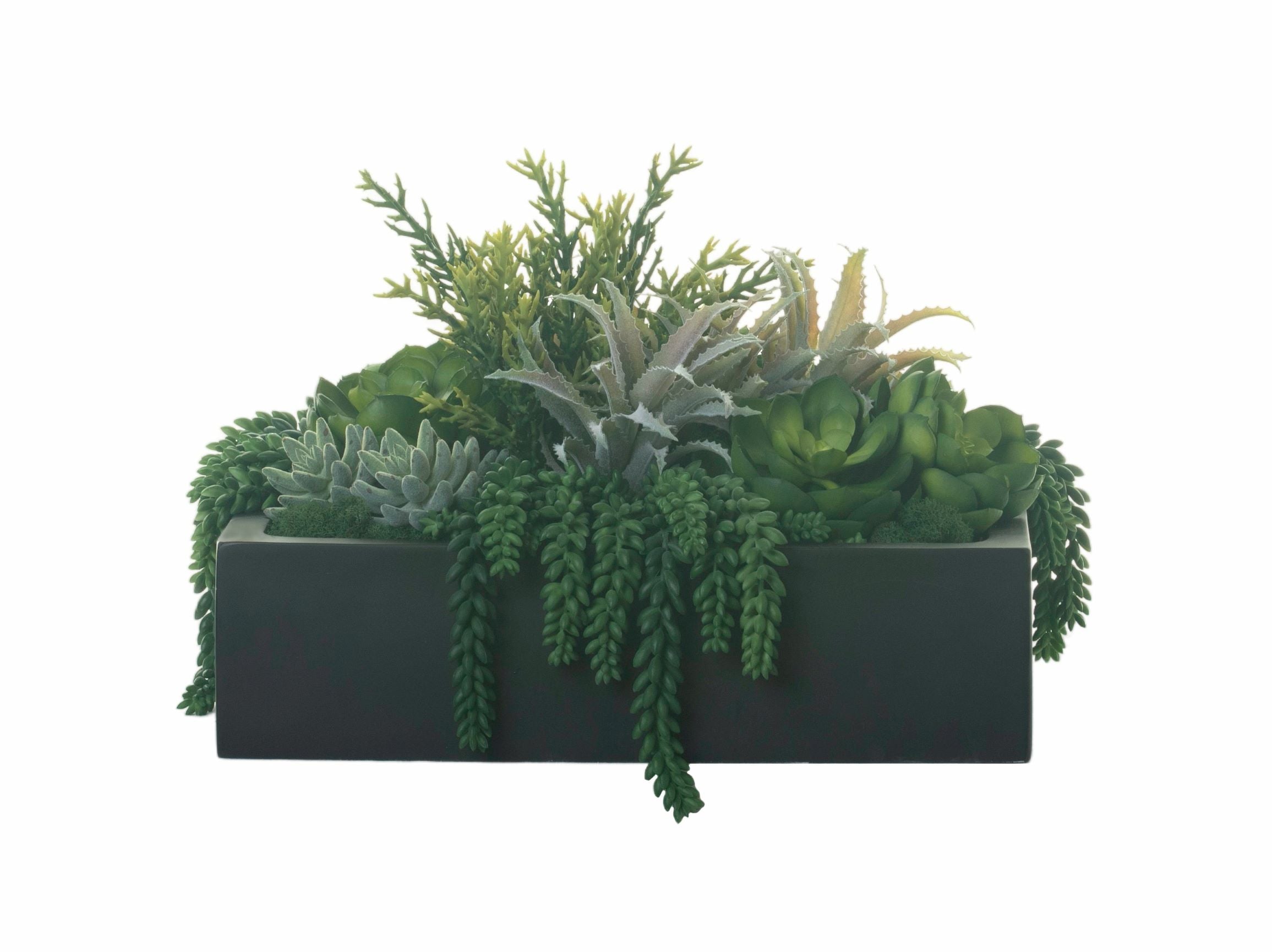 19" Sebastian Square Planter with Succulent Arrangement     AR1312