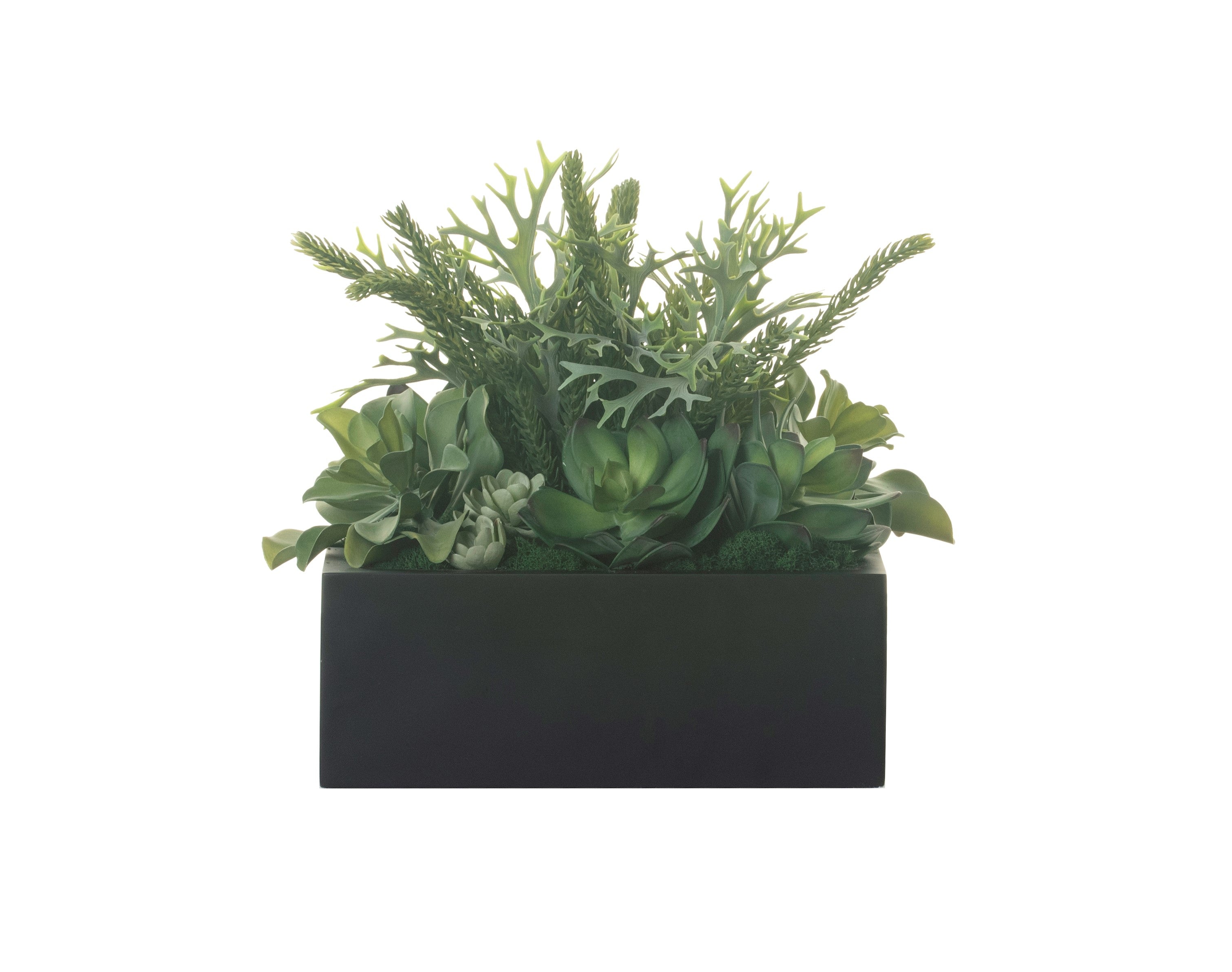 13" Sebastian Square Planter with Succulent Arrangement   AR1313