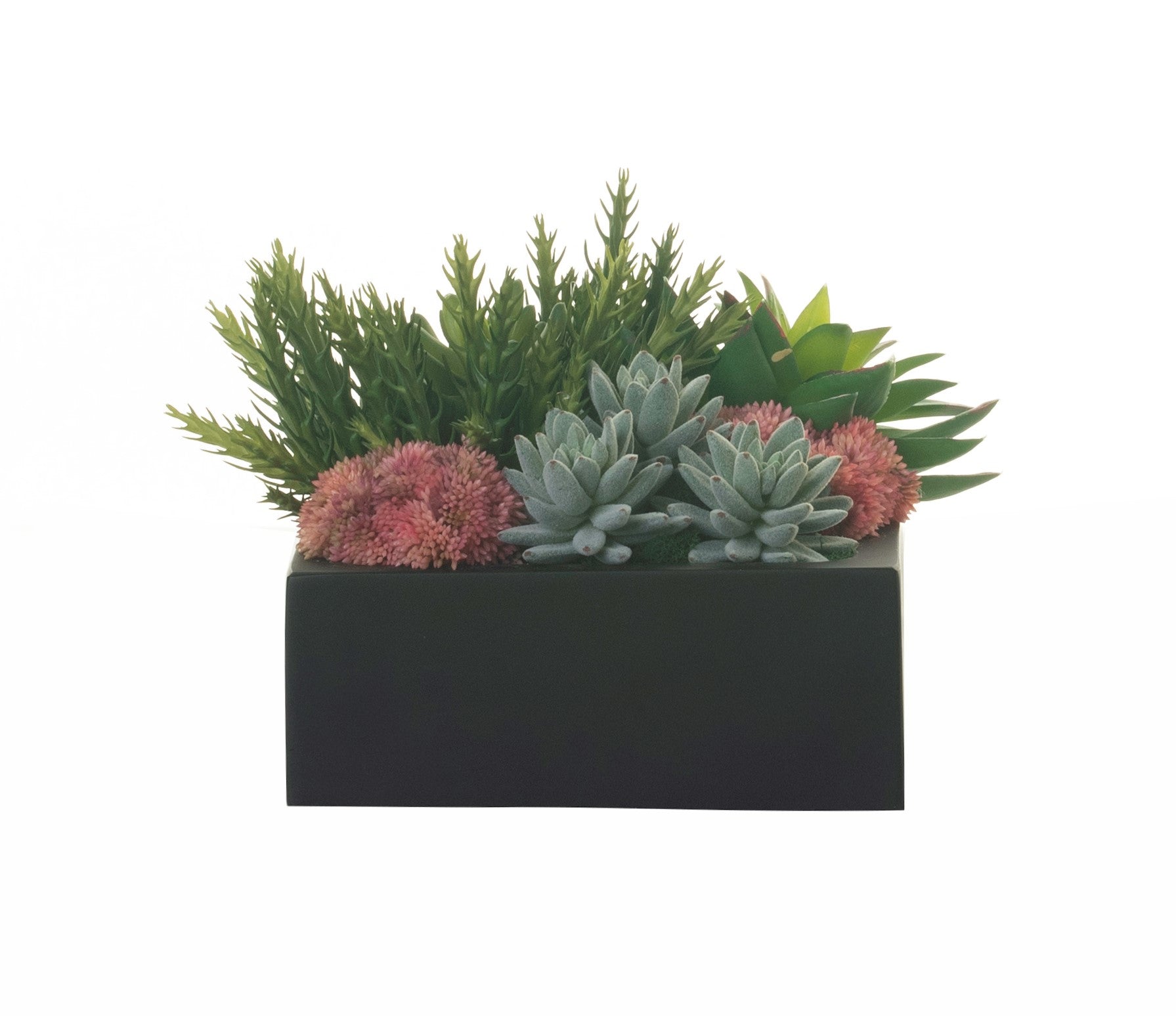 9" Black Sebastian Table Top Planter with Succulents AR1314