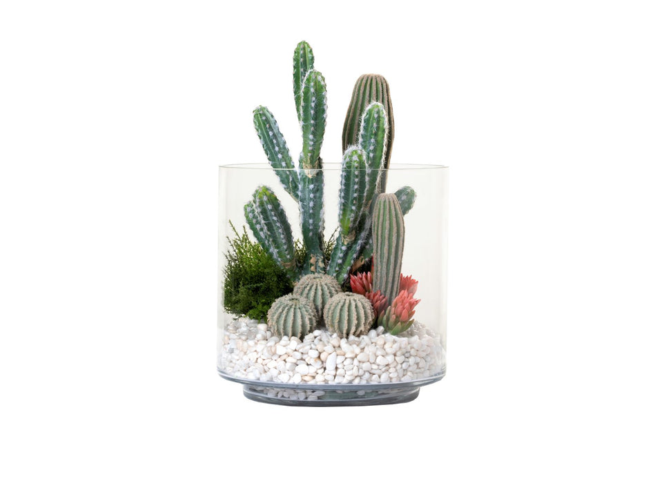 12" Chalet Vase with Cactus Arrangement AR1320