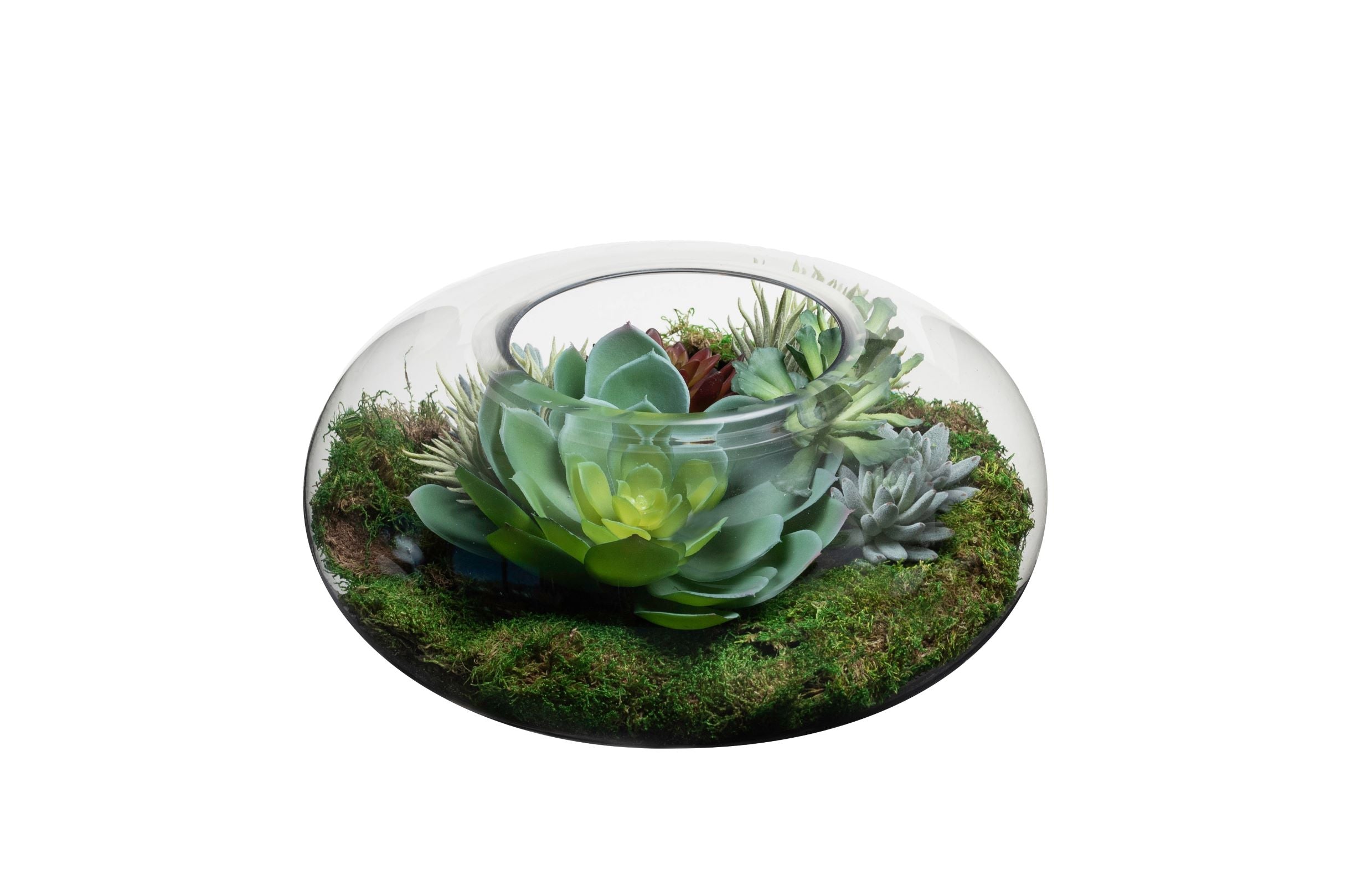 16" Selena Terrarium   GL1015