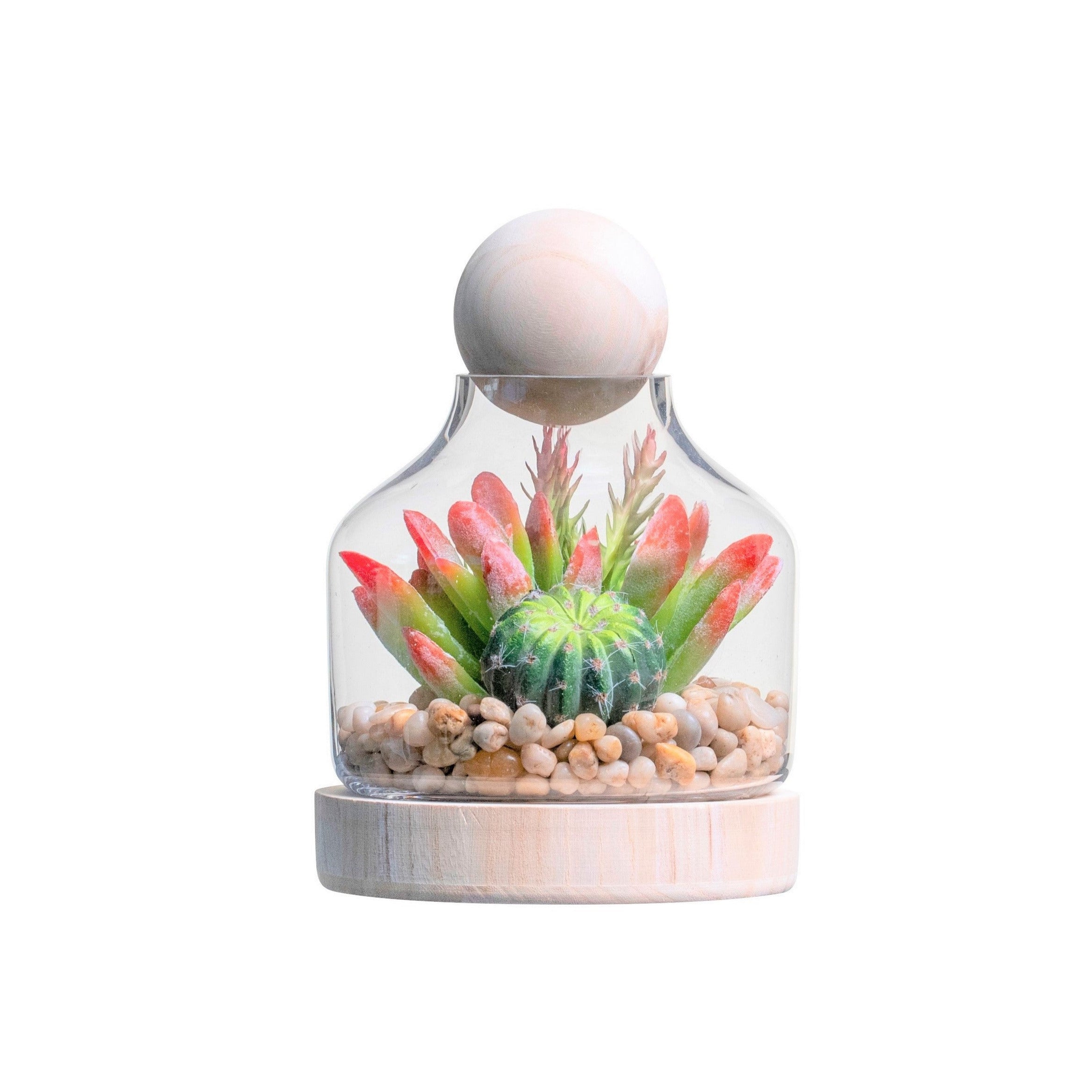 7" Chileno Terrarium with Succulent Arrangement   AR1334