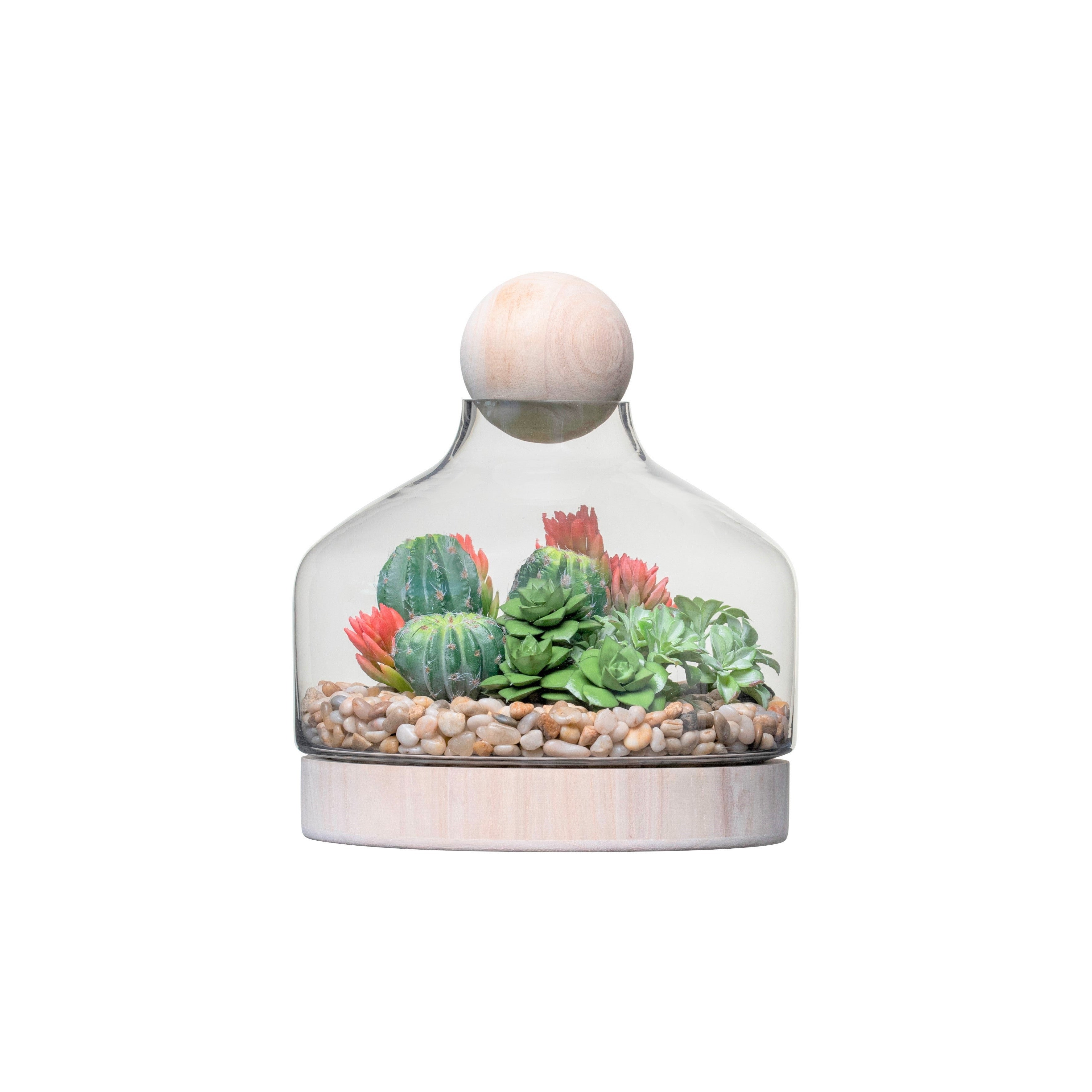 10.5" Chileno Terrarium with Succulent Arrangement   AR1335