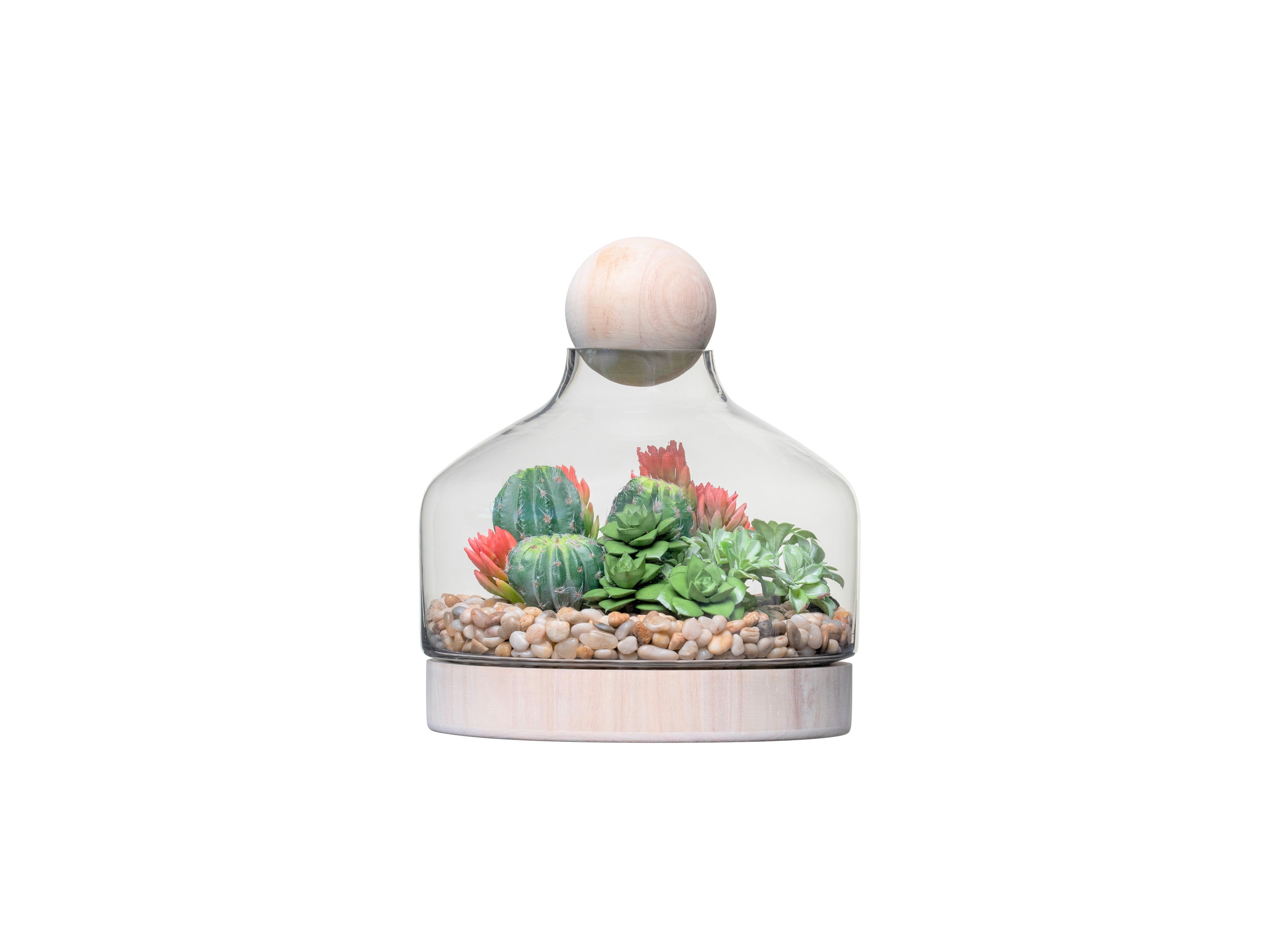 10.5" Chileno Terrarium with Succulent Arrangement   AR1335