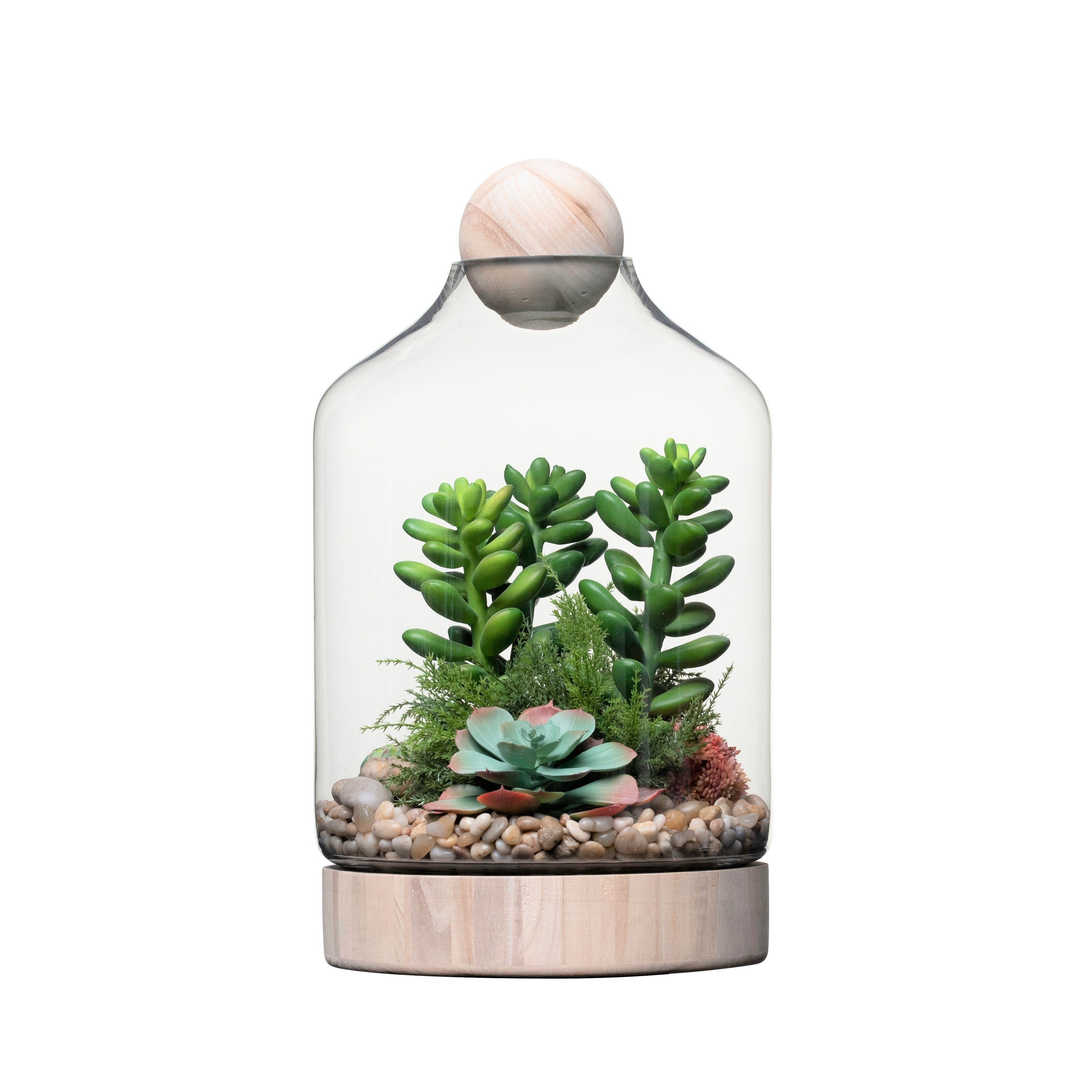 19" Chileno Terrarium with Succulent Arrangement   AR1336